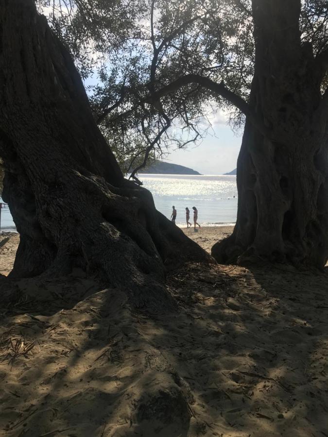 Raphael Skiathos Living-Venetia Exteriér fotografie